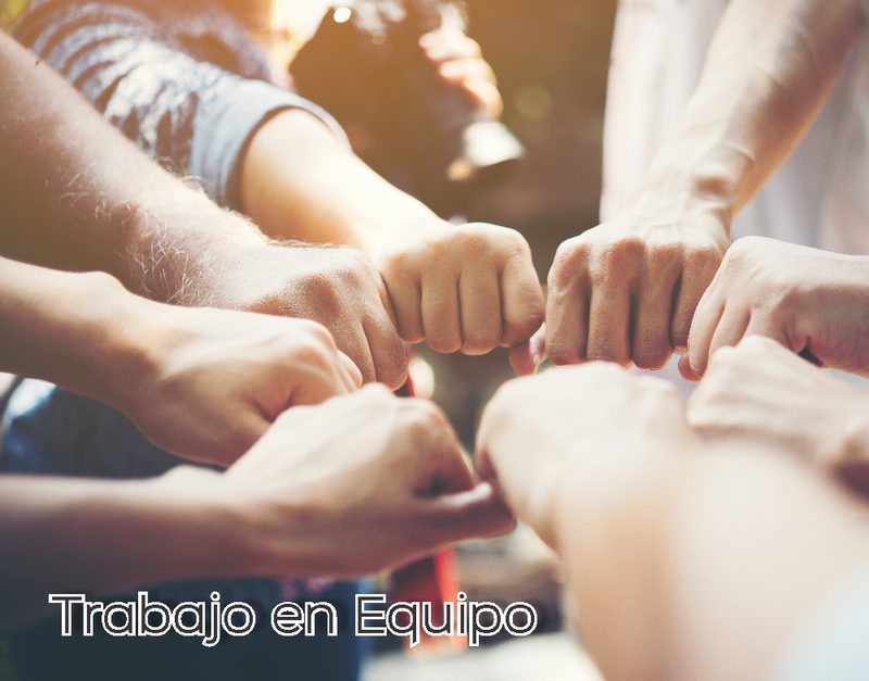 Manos en círculo simbolizando el trabajo en equipo